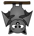 Benutzeravatar