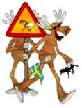 Benutzeravatar