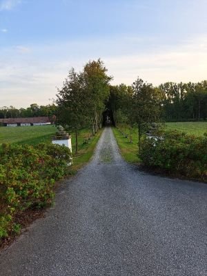 Bilderrätsel 27.10.24 1.jpg
