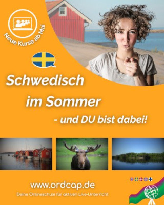 262 schwedisch sommer klein.jpg