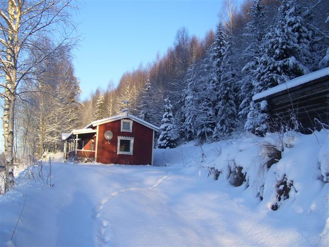 Schweden Januar 2010 185 (Small).jpg