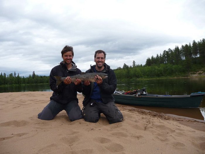 Auf der Sandbank mit dem Lachs