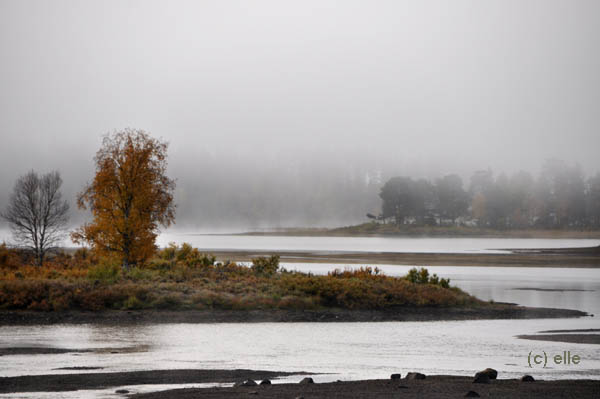 Nebel am Morgen