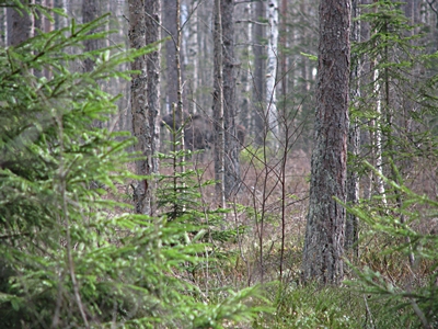IMG_5155.JPG