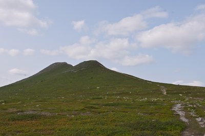 IMGP3301.JPG