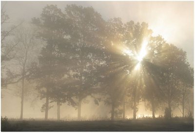 Nebel kopie.jpg