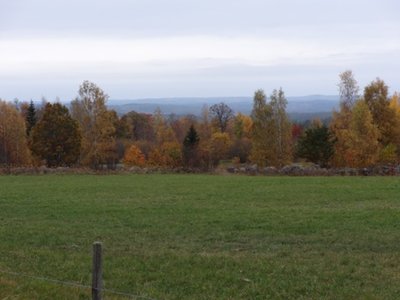 Schweden Oktober Rätselbild.jpg