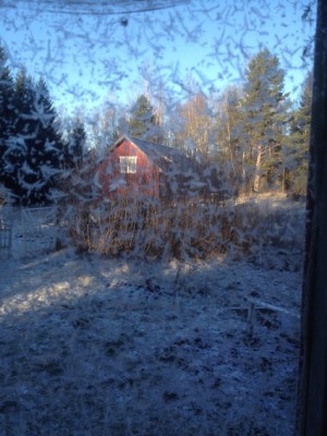 Blick aus dem Fenster.jpg