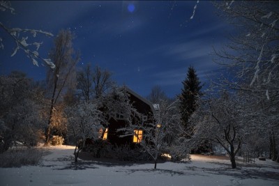 Vinter i Kattgården, januari 2015.