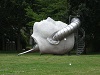 DSC03562.jpg