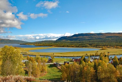 DSC_0142.jpg