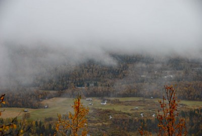DSC_0202.JPG