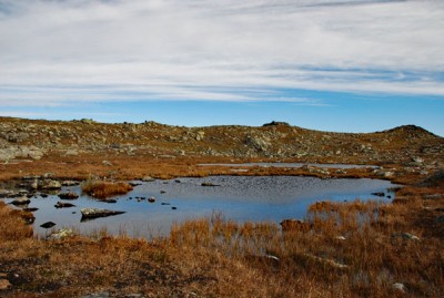 DSC_0320web.jpg