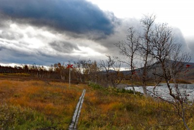 DSC_0489web.jpg