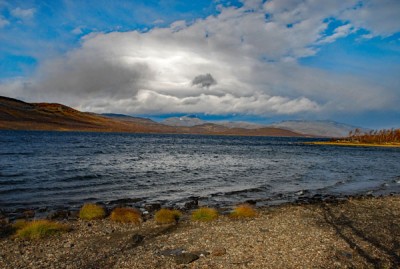 DSC_0491web.jpg