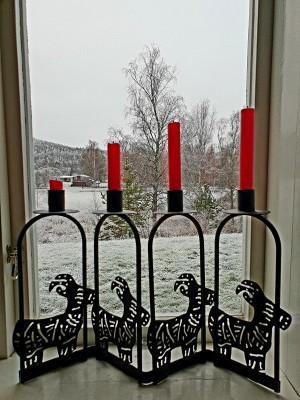 20201129_110143.jpg