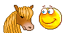 pony :pony: